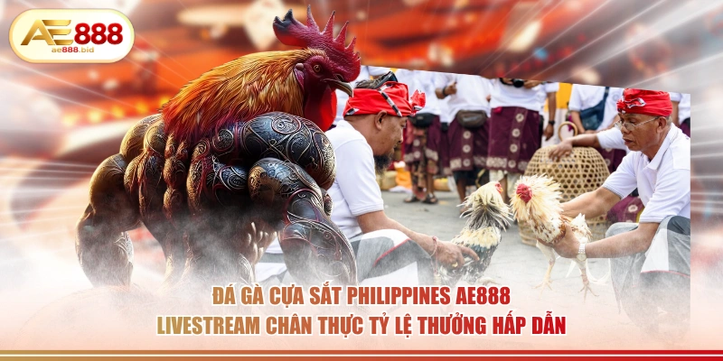 Đá Gà Cựa Sắt Philippines Tại AE888 - Cược Trực Tiếp 2 Đá gà cựa sắt Philippines AE888 livestream chân thực tỷ lệ thưởng hấp dẫn.