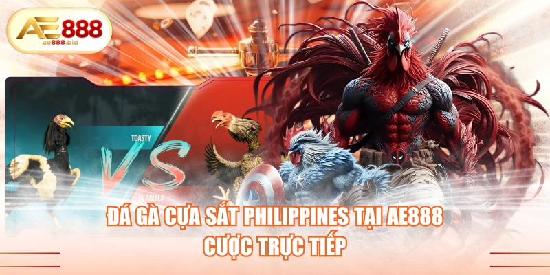 Đá Gà Cựa Sắt Philippines Tại AE888 - Cược Trực Tiếp 1 Đá gà cựa sắt Philippines tại AE888