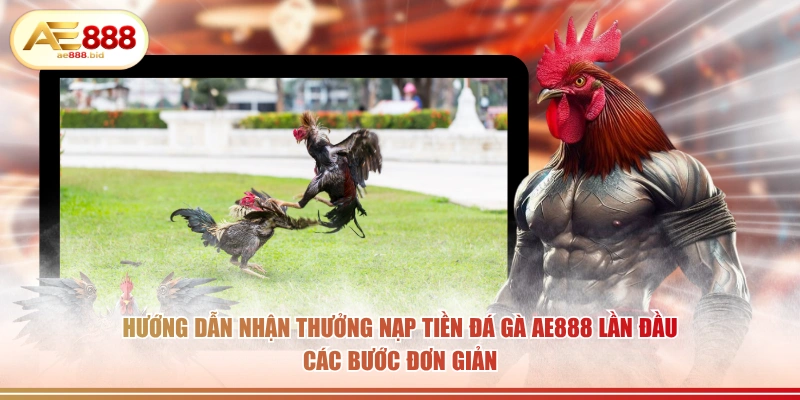 Thưởng Nạp Tiền Chơi Đá Gà AE888 Lần Đầu HOT 2026 4 Hướng dẫn nhận thưởng nạp tiền đá gà AE888 lần đầu các bước đơn giản.