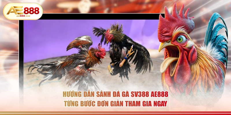 Sảnh Đá Gà SV388 Tại AE888 - Cược Trực Tiếp Chân Thực 4 Hướng dẫn sảnh đá gà SV388 AE888 từng bước đơn giản tham gia ngay.