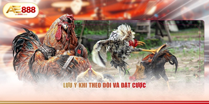 Lưu ý khi theo dõi và đặt cược