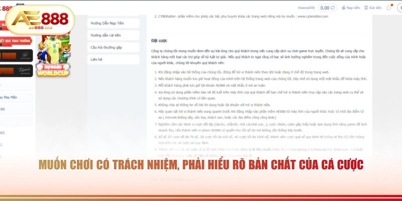 Chơi Có Trách Nhiệm AE888 - Nguyên Tắc Vàng Bảo Vệ Hội Viên 1 Muốn chơi có trách nhiệm, phải hiểu rõ bản chất của cá cược