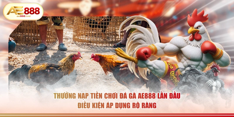 Thưởng Nạp Tiền Chơi Đá Gà AE888 Lần Đầu HOT 2026 2 Thưởng nạp tiền chơi đá gà AE888 lần đầu điều kiện áp dụng rõ ràng.