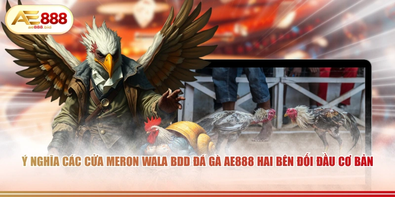 Ý nghĩa các cửa Meron Wala BDD đá gà AE888 hai bên đối đầu cơ bản.